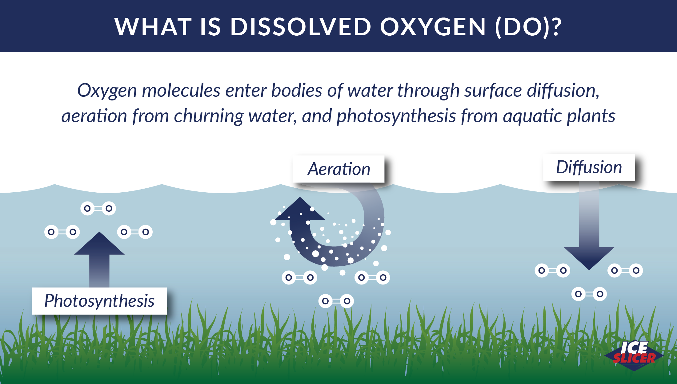 How Do Deicers Affect Biochemical Oxygen Demand?